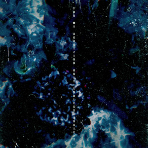 欧美性爱免费福利
